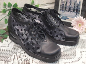 yPut's@vbczꃌ[XAbvT}[RtH[g 13923 yubNʁz