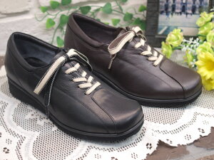 yPUT PUTzyPut'szL4E[XAbvRtH[gV[Y@21092 (21091)yubNE_[NuEz