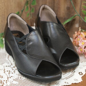 yFIZZ REEN tBY[zL4ECY@JE^[tI[vgD{vT_@4635y[݌ɗLzyNX[XEVpzyƕtiJE^[)T_@I[vgD