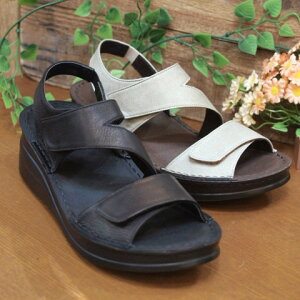 yPut's vbczRtH[gobNohT_@ 4171 yubNELO[zyT_@T}[ACe xNxgT_z