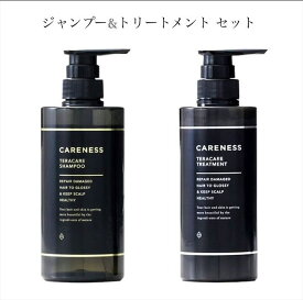 【送料無料】セット販売 ケアネス テラケア シャンプー 500ml + ケアネス テラケア トリートメント 400g 美容室専売 サロン専売 CARENESS