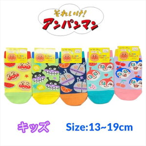 Ap} LbY C 13-19cm hL RL oCL}  \bNX LbY xr[ j̎q ̎q q qǂ ǂ ct ۈ牀 ʉ  m ʊw lC L