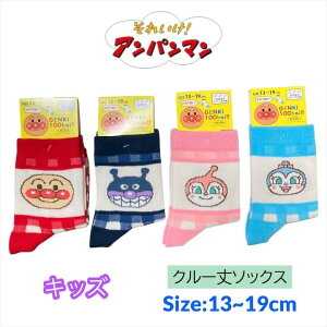 Ap} LbY C 13-19cm hL RL oCL} `FbN  \bNX LbY xr[ j̎q ̎q q qǂ ǂ ct ۈ牀 ʉ  m ʊw l