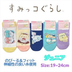 ݂R炵 WjA C ̂с`tBbg 19-24cm  \bNX LbY xr[ j̎q ̎q q qǂ ǂ ct ۈ牀 ʉ  m ʊw lC LN^[ ObY 