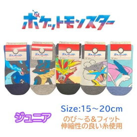 ポケモン ジュニア 靴下 15-20cm リザードン ガラルファイヤー レックウザ エンテイ ニャオハ くつした ソックス キッズ ベビー 男の子 女の子 子供 子ども こども 幼稚園 保育園 ポケットモンスター 人気 キャラクター グッズ かわいい おしゃれ プレゼント ギフト 記念