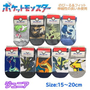 �|�P���� �W���j�A �C�� 15-20cm ���U�[�h�� ���J���I �L���v�e���s�J�`���E �e���p�S�X ������ �\�b�N�X �L�b�Y �x�r�[ �j�̎q ���̎q �q�� �q�ǂ� ���ǂ� �c�t�� �ۈ牀 �|�P�b�g�����X�^