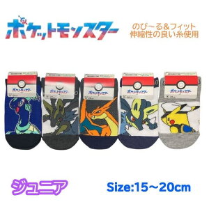 �|�P���� �W���j�A �C�� 15-20cm ���U�[�h�� ���J���I �L���v�e���s�J�`���E �e���p�S�X ������ �\�b�N�X �L�b�Y �x�r�[ �j�̎q ���̎q �q�� �q�ǂ� ���ǂ� �c�t�� �ۈ牀 �|�P�b�g�����X�^
