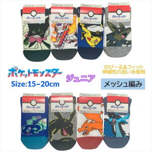 �|�P���� �W���j�A �C�� 15-20cm ���U�[�h�� �K�����t�@�C���[ ���b�N�E�U �L���v�e���s�J�`���E ������ �\�b�N�X ���b�V�� �L�b�Y �x�r�[ �j�̎q ���̎q �q�� �q�ǂ� ���ǂ� �c�t�� �ۈ牀 