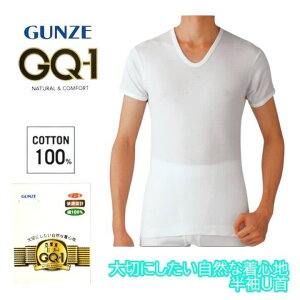 GQ-1 �x�[�V�b�N ����U�� T�V���c ���� ��100% �O���[ GUNZE �����Y �j�� �a�m gqa316 S-LL �M�t�g �v���[���g