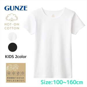 �W���j�A HOT-ON COTTON �z�b�g�I���R�b�g�� �����V���c �j�� ���� ���p �O���[ GUNZE kgw8550-80 100-160cm �M�t�g �v���[���g