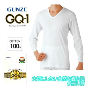 GQ-1 x[VbN U TVc  100% O[ GUNZE Y j am gqa310 M-LL Mtg v[g