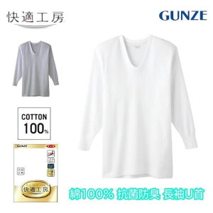 O[ KH[  U Y Ci[Vc Vc 100% RۖhL n tCX UlbN Vc jp  60 70 80 Mtg 蕨 OZ[    GUNZE KQ3010 4L Mtg