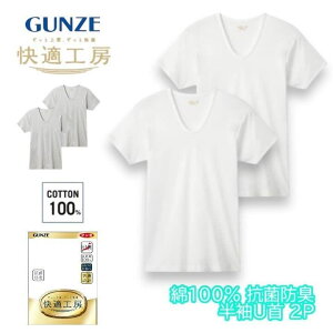 ���K�H�[ �a�m ����U�� T�V���c 2���g ��100% �t���C�X ���{�� �O���[ GUNZE �j�� �����Y u�l�b�N u�� t�V���c ���� kq5016g M-LL �M�t�g �v���[���g
