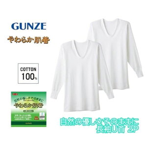 O[ 炩 Y U Ci[Vc  2g 100 U  n  Ci[ Rbg A_[EFA UlbN Vc GUNZE SV6110A S-LLMtg v[g