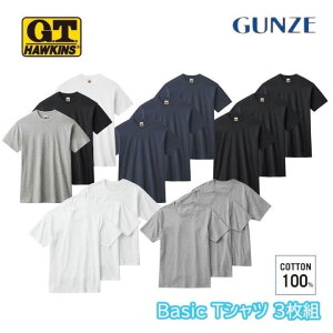 G.T.HAWKINS �O���[ �z�[�L���X �V�� �ێ� ���n 3���g �e�D���Ȃ� �����Y �� �C���i�[ �N���[�l�b�N T�V���c ���� �A���_�[�E�F�A GUNZE M-LL HK15133 �M�t�g �v���[���g