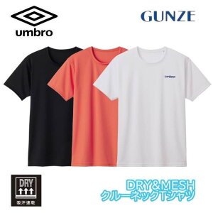GUNZE O[ umbro Au Y tVc  X|[c  bVg[jOEFA X|[cEFA hCM-L ubs713g Mtg v[g