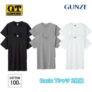 GUNZE G.T.HAWKINS �����Y �N���[�l�b�NT�V���c 2���g ��100�� �V���f�� M-LL hk10132 �M�t�g �v���[���g