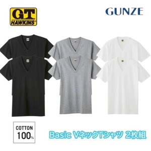 GUNZE G.T.HAWKINS �����Y V�l�b�N T�V���c 2���g ��100�� �V���f�� M-LL hk10152 �M�t�g �v���[���g