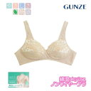GUNZE グンゼ やさしさ物語 ノンワイヤーブラジャー 綿混メッシュ 年間 TB1044N 90、75、80、85サイズ tb1044n tb1056h ギフト プレゼント
