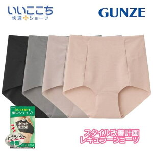 �O���[ �X�^�C�����P�v�� ���M�����[�V���[�c ���f�B�[�X ���J�b�g�I�t ���������� �[�� �傫���T�C�Y GUNZE hz4570p M-LL �M�t�g �v���[���g