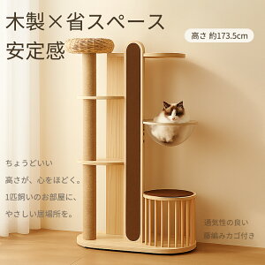 Lbg^[ L^[ ؐ u ȃXy[X 173cmNX 芴Q Ή ^LOK qL L k ʋC̗ǂ҂݃JSt JvZ B LnEX ܂Ƃ