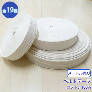 y[։F10mz[g xge[v NO5502  [M 1/10]