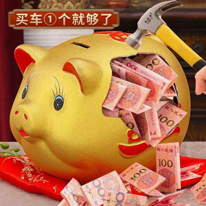  S[f sbO   2025V X^C 邾 oȂ qp j̎q ̎qp  [ o