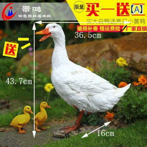 @G݁@i@ 傫  K`E i  i O _ Ő     V~[V
