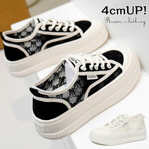 Xj[J[ fB[X [X bV Xj[J[ Z  Xj[J[ ₷ Xj[J[ [XAbv C  y h ʋC ~ JWA ɂ 