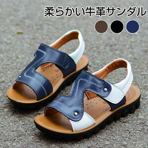 {v T_ q LbYT_ j̎q T_ tH[} JWAT_ j̎q {[CY v T_ WjA  r[`T_ AEghAV[Y ₷ X|[c 