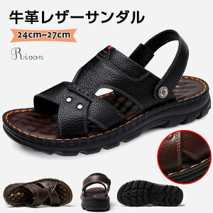 Y T_ {v 񂾂 U[T_ Y X|[cT_ 2way T_ r[`T_ rWlXT_ ItBX Y 傫TCY T_ ėp YT_ IV