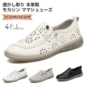 fB[X JV [t@[ {v C ʋΗp RtH[gV[Y [q[ pvX ɂȂ fB[X ₷ Xb| ʋC y i[XV[Y pvX EH[LO