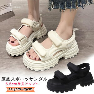 T_  X|T  T_ fB[X X|[cT_ xN Xj[J[T_ bVT_ ʋC NbV ėp ^T_  5.5q[  ItzC