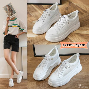 Xj[J[ fB[X Xj[J[  EH[LOV[Y y ₷ Ȃ ^C V[Y ʋ ʊw Cq[ 4cm gAbv tďH~ ʋC ʊw 22-25cm