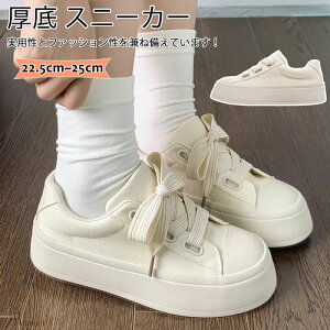 Xj[J[ fB[X y ₷ Ȃ JWAXj[J[ fB[X EH[LOV[Y [XAbv  Ռz g ʊw ʋ 풅p їp 22.5-25cm
