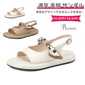 T_ fB[X XJ[t T_ _炩 y T_ ₷ ƂȂ T_  Xbp V[Y fB[X [q[T_ T_ ɂȂ r 