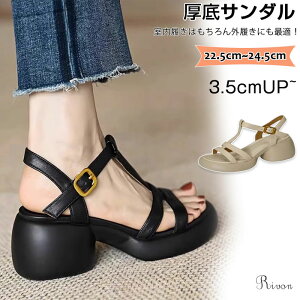 OfBG[^[ T_ fB[X T_ fB[X U[ P[W }`Xgbv fUC r[`T_ 2024  ₷ C s  ɂȂ I[vgD [}