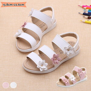 q T_ ̎q [} T_ T}[V[Y 킢 LbY qp EȒP r[`T_ t@bV qǂ qp ANAV[Y AEghA ԏ ܎O \