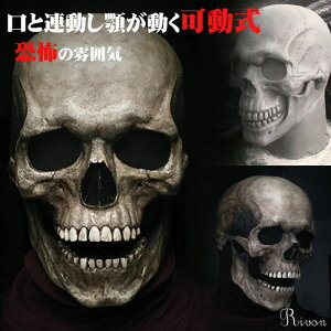  [ }XN nEB RXv  z[}XN XJ | Ԃ A XJ}XN   | hN  RXv ttFCX p[eB[ 킢 KCRc 