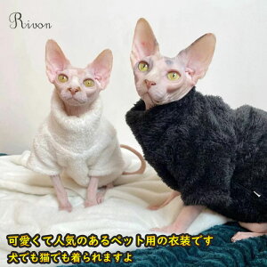 ybg L   ^ g h _炩 QԒ  ʋC ^Ngbv vI[o[ ̃ybg ӂӂ h g H~ U op  L ybgpi ƒ U