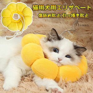 GUxXJ[ Ђ܂^ L ^ _炩  y GUxX NbV \ rߖh~ ݖh~ LpJ[ ybgpi D  PK 킢 Ђ܂ y lC ܐ