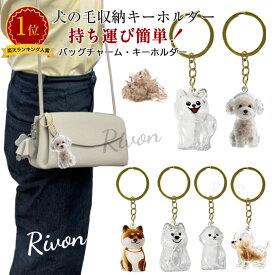 ＼2点購入で1点最安590円／ペット 遺毛 ケース 透明 犬の毛キーホルダー ペット 遺毛入れ 犬の毛収納ボトル ペットメモリアルボトル ペット 毛 収納ボックス 犬のキーホルダー 毛を保管するボトル ペットひげ・抜け毛収納 携帯 メモリアルグッズ