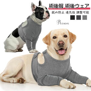 p p㕞 pEFA pی앞 nr ֐߃veN^[ ߉\ rߖh~  T|[^[ _炩 pEFA rߖh~ 畆a IpveN^ Lk  O I  V