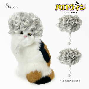 ybgEBbO  L  EȒP nEB RXv ʔybg RXv  ybg Jc ϑObY ybg RXv   a p[eB[ ObY 킢 cosp