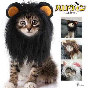 ybgXq CI L蕨 nEB[  _炩 ybgp EBbO  LpXq t RXvLbv ϐg nEB NX}X EȒP ybgpi ybgpi NX