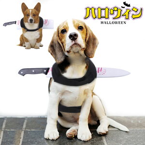 _5^Cv^ybg RX`[RXvߑ pRX`[  ϑ nEB[ p[eB[ hbOEFA ʔ  nEB Lp nEB ybg  ϐg nE