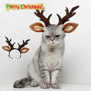  L ybgp J`[V giJC NX}X 蕨  L giJCɕϐg Xq Ԃ  LpANZT[ NX}X ̎ wAoh pRX`[ J`[V 