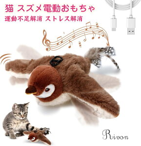 L d   XgXU ^b`N   dH΂XY AȒ  XY ʂ [h\ 􂢉\ USB[d Lpߋ Lǂ L