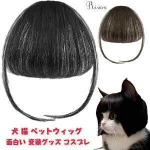 ybgEBbO  L  蕨 蕨 EȒP ʔybg RXv  ybg O Jc ϑObY ybg RXv   a p[eB[ ObY 킢 cos