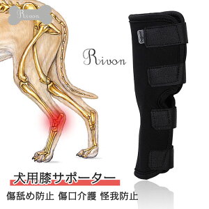 ֐߃veN^[ pGT|[^[  r u[X p T|[^[ O㑫 ܎ ֐߃veN^[ rߖh~  h~  pEFA ybgp T|[^[ ̕ی 